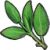 "Sage" icon