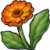 "Marigold" icon