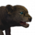 "Lion Cub" icon