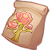 "Mountain Rose Seeds" icon