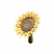"Full-Bloom Maracas" icon
