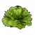 "Lettuce" icon
