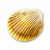 "Gold Cockle" icon