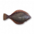 "Flounder" icon