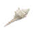 "Conch Shell" icon