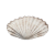 "Scallop Shell" icon