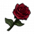 "Blood Rose" icon