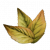 "Mallowsweet Leaves" icon