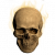 "Stench of the Dead" icon