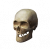 "Weathered Skull" icon