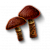 "Cortinarius" icon