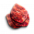 "Chitinous shell" icon