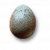 "Egg" icon