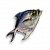 "Fish" icon