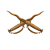 "Double Bichwas" icon