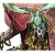 "Cavimo Rex" icon