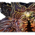 "King Beltharun" icon