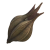 "Dryad Cocoon" icon