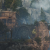 "Ancient Garden" icon