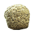 "Brain Fungus" icon