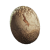 "Radscorpion Egg" icon