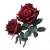 "Bloodrose" icon