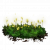 "Budding Cave Moss" icon