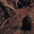 "Abandoned Cave" icon