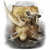 "Aspects of the Crucible: Horns" icon