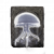 "Spirit Jellyfish Ashes" icon