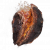 "Fireproof Dried Liver" icon