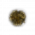 "Golden Rune [11]" icon