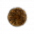 "Numen's Rune" icon
