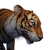 "Tiger" icon