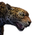 "Jaguar" icon