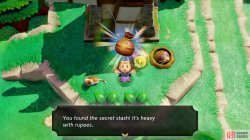 zelda_echoes_of_wisdom_secret_stash-a54e4f4d.jpg