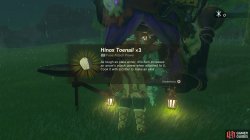 hinox_toenail-65e90882.jpg