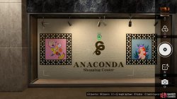 anaconda_west_entrance_2_photo_rally_anaconda_shopping_center_like_a_dragon_infinite_wealth-90e087b5.jpg