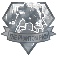 the phantom pain steam guides