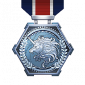 Trophy/Achievement Icon