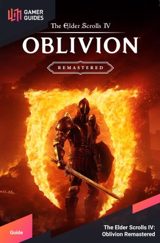 Guide cover