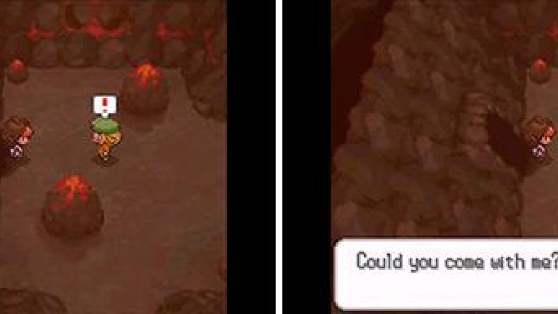 Unlike tag-alongs in some other games, the ones in Black 2/White 2 are quite useful. They help you fight in battles AND heal you after each battle.