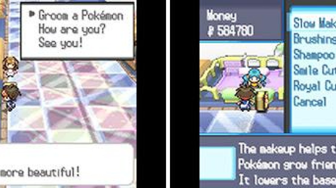 Resetting EVs this way costs money, but it’s often easier than retraining a new Pokemon.