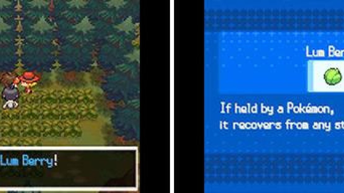 Lum Berries cure any status condition when held, so they’re great for many strategies.