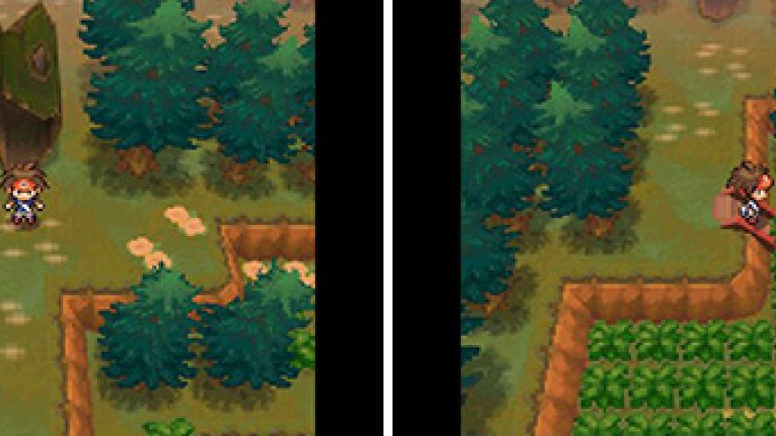Pinwheel Forest is a massive place with multiple areas.
