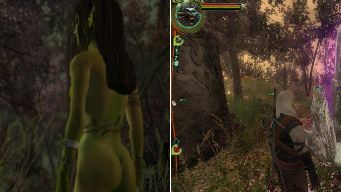 Nothing validates a Druid Grove like having your own tenant Dryad (left). Morenn fancies hunters, and requests you bring a Wolf Pelt to show off your prowess. The Druid Grove is also home to the Circle of Unwanted Power (right) from which you can learn the Yrden Sign.