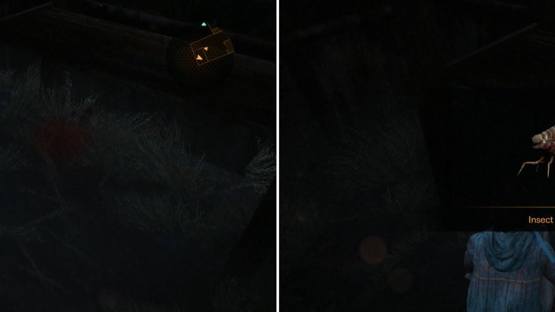 Right where you found the fuel in Claire’s chapter, you’ll find a Larvae with Natalia!