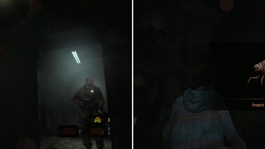 You can see this Larvae from outside the room. Hopefully you killed Pedro as Claire!