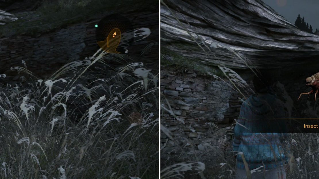 Make sure to kill this Larvae before proceeding to the next area.