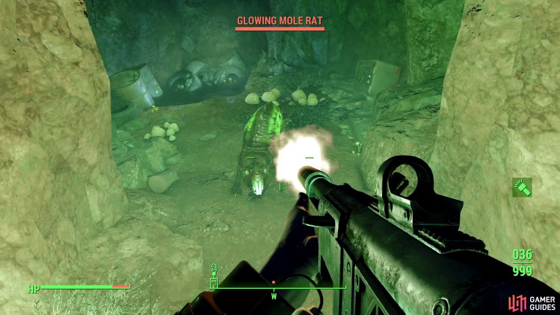 In the Mole Rat Den you can find a leveled Mole Rat,